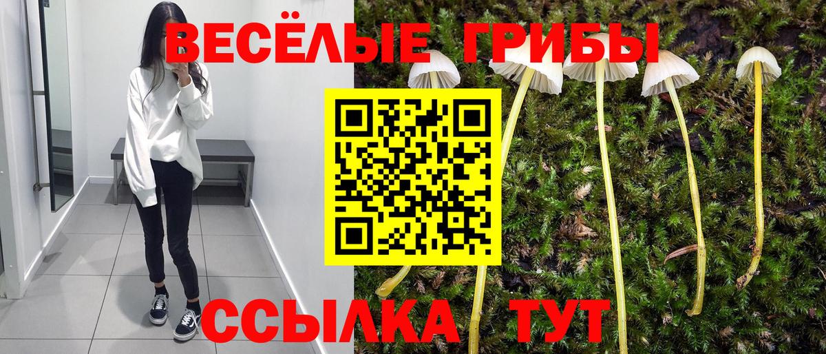 Майский  Псилоцибиновые грибы Cubensis  Вход с VPN 